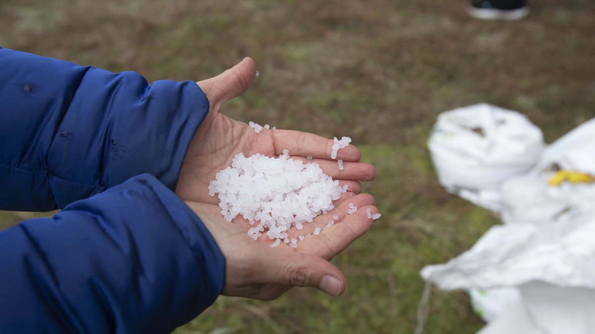 Labor. Varios operarios contratados por Tragsa recogen pellets de plástico en la playa de Seiras ( Coruña), tras el percance el buque ‘Toconao’, con bandera de Liberia.