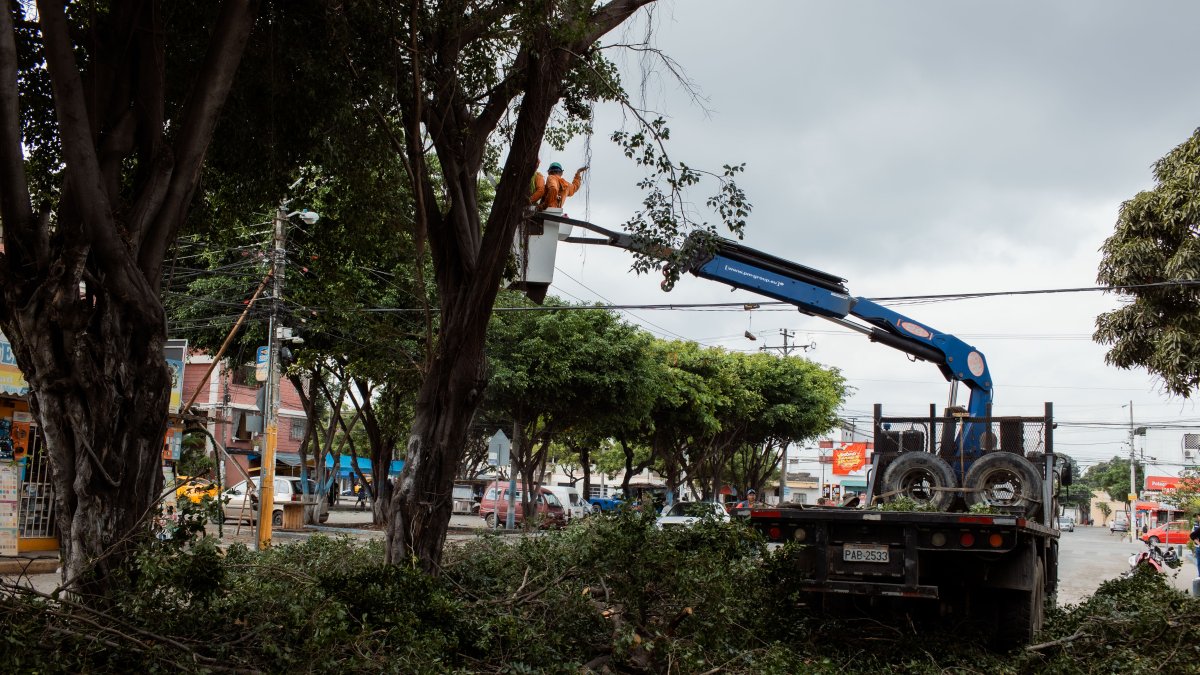 Hecho. Los trabajos se ejecutan de 8:30 a 15:00, esta semana.