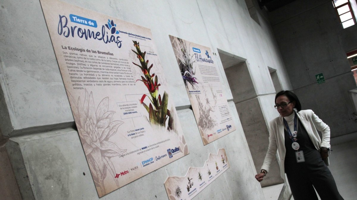 La exposición se encontrará en el vestíbulo de la estación San Francisco, se mostrará en vitrinas y fotografías la historia de la Plaza.