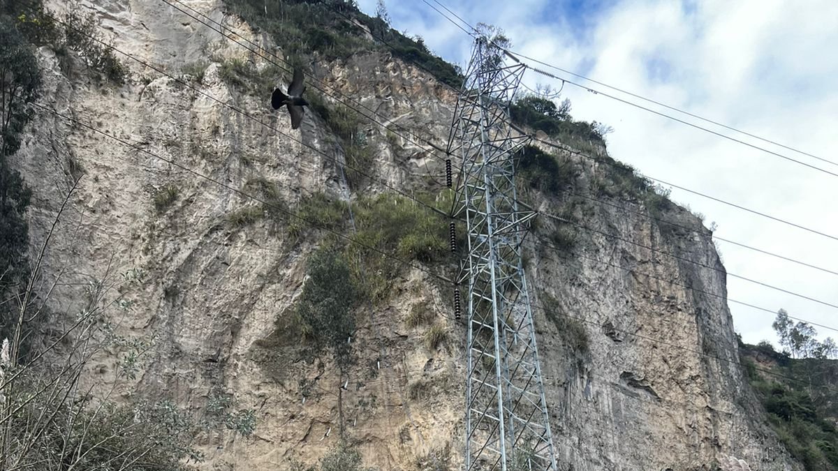 Personal técnico de la Administración Zonal acudió al sitio para verificar la magnitud del deslizamiento