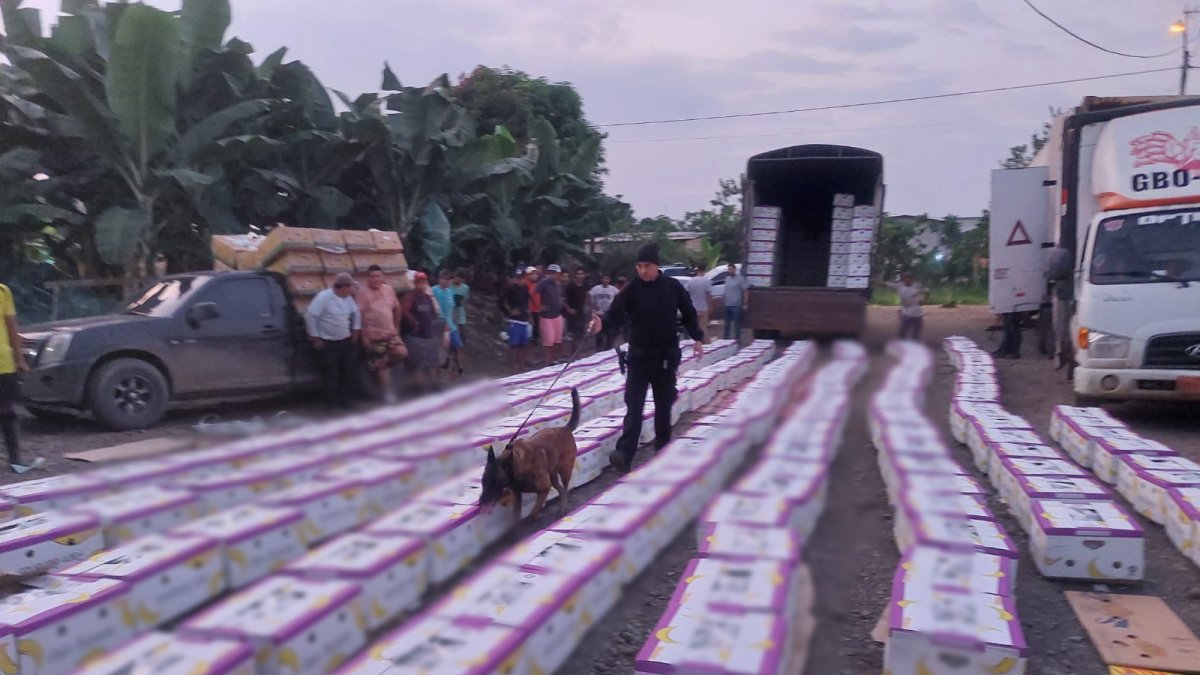 Policía Nacional localiza dos vehículos de carga pesada (tráiler y furgón), que eran utilizados para el transporte de droga en el cantón Simón Bolívar.