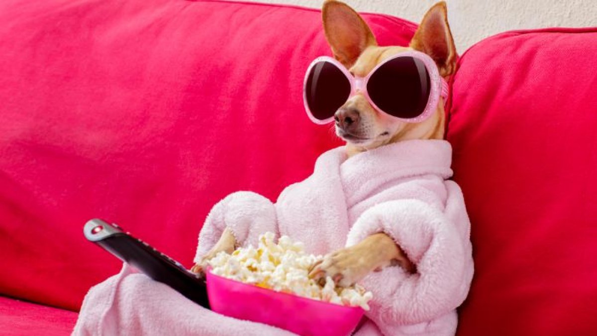 Prepara tu agenda, ajusta tus horarios y únete a un viaje lleno de suspense, risas y emociones inolvidables.