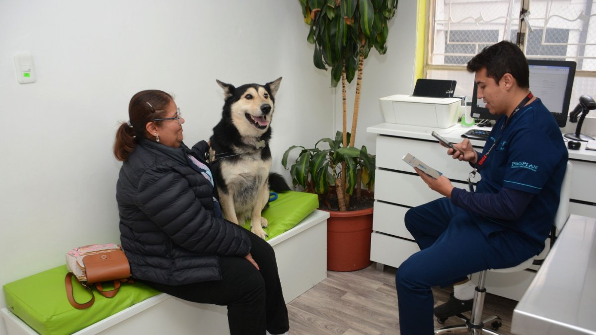 Para que la mascota se quede en el hospedaje es importante un chequeo previo.
