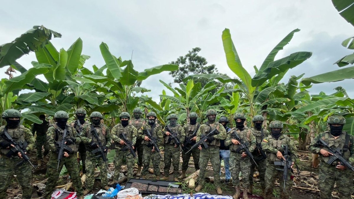 La finca era de producción agrícola y porcina.