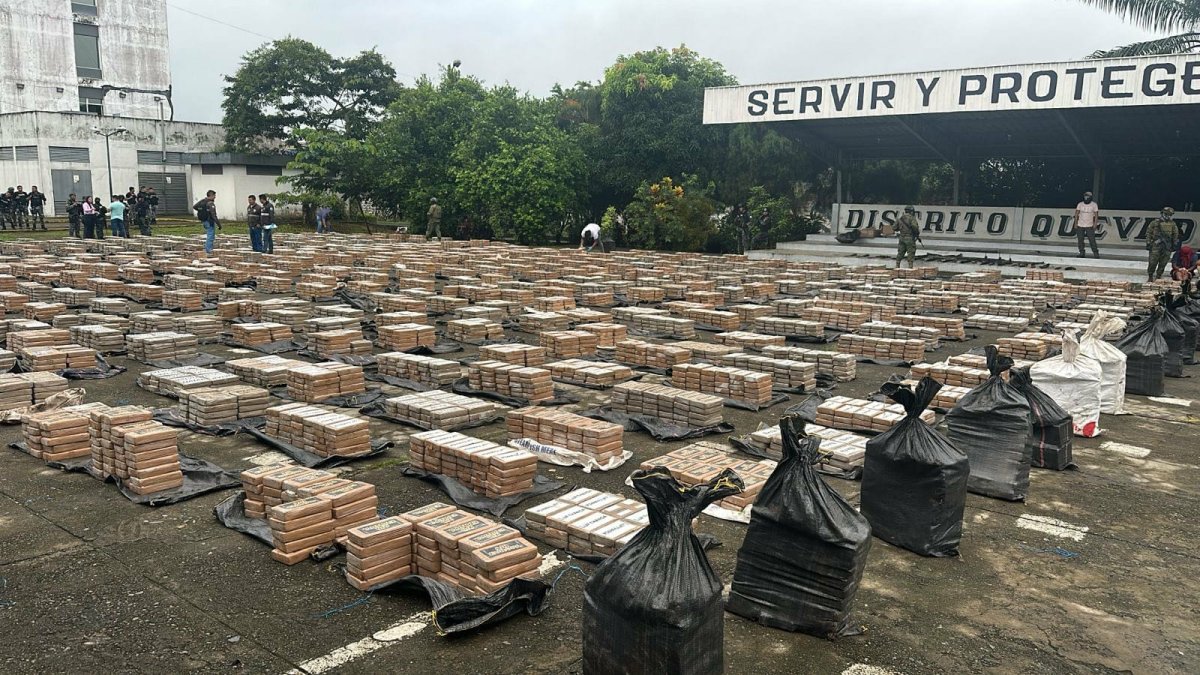 Dato. Hasta el momento no se ha indicado a quién pertenecía el terreno en donde se encontró el cargameto.