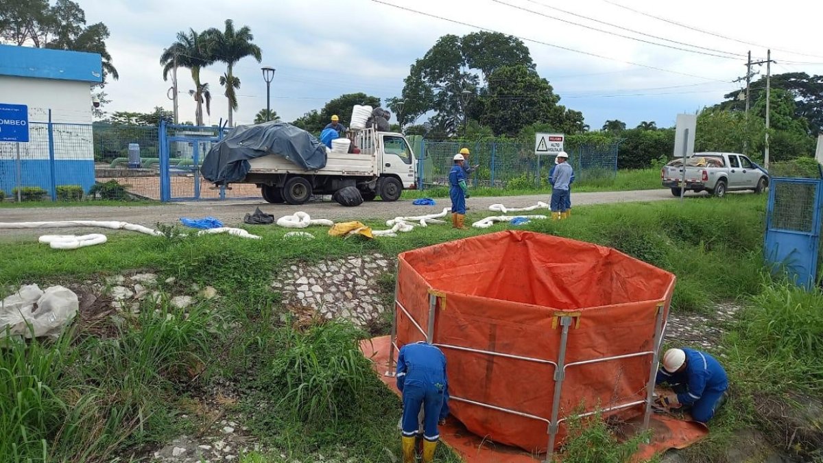 Trabajadores de diversas entidades públicas realizan tareas de limpieza en el canal tras el derrame.