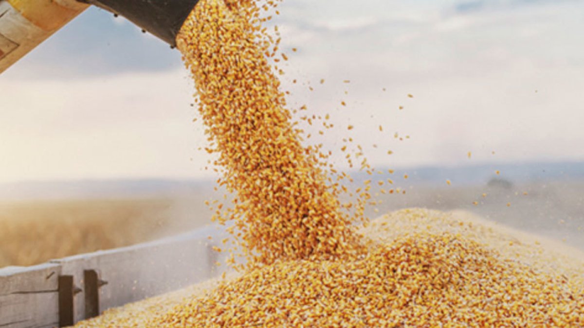 Industria.- El proceso para producir alimento balanceado en Ecuador.