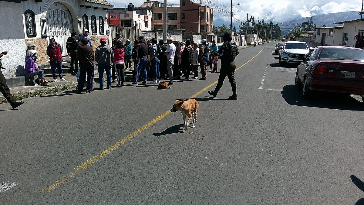 Unos habitantes del barrio Santa Cruz se cansaron de los múltiples ataques y pidieron el desalojo de los canes