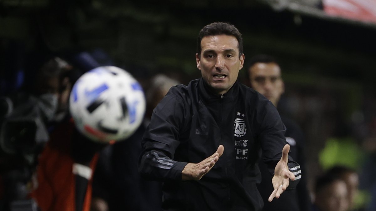Lionel Scaloni, técnico de la Albiceleste.