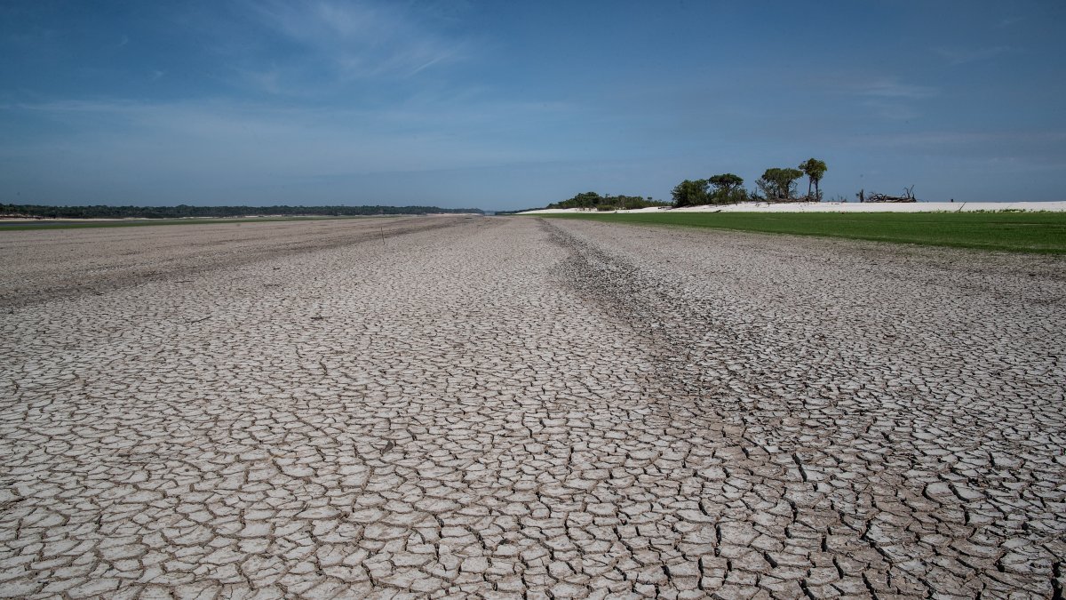 La severa sequía en el Río Negro, en el Amazonas (Brasil).