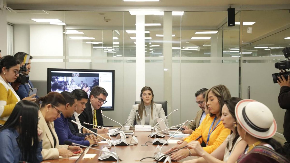 La Comisión de Desarrollo Económico sesionó este 24 de enero de 2024 para aprobar el informe para primer debate del proyecto de ley que busca subir el IVA.