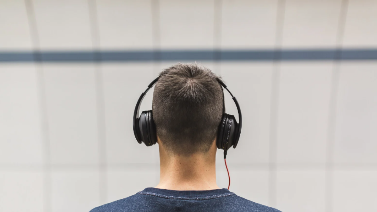 El sentido auditivo. Imagen referencial