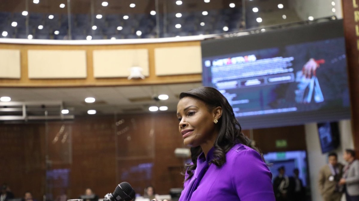 La fiscal general del Estado, Diana Salazar, en su intervención en el pleno.