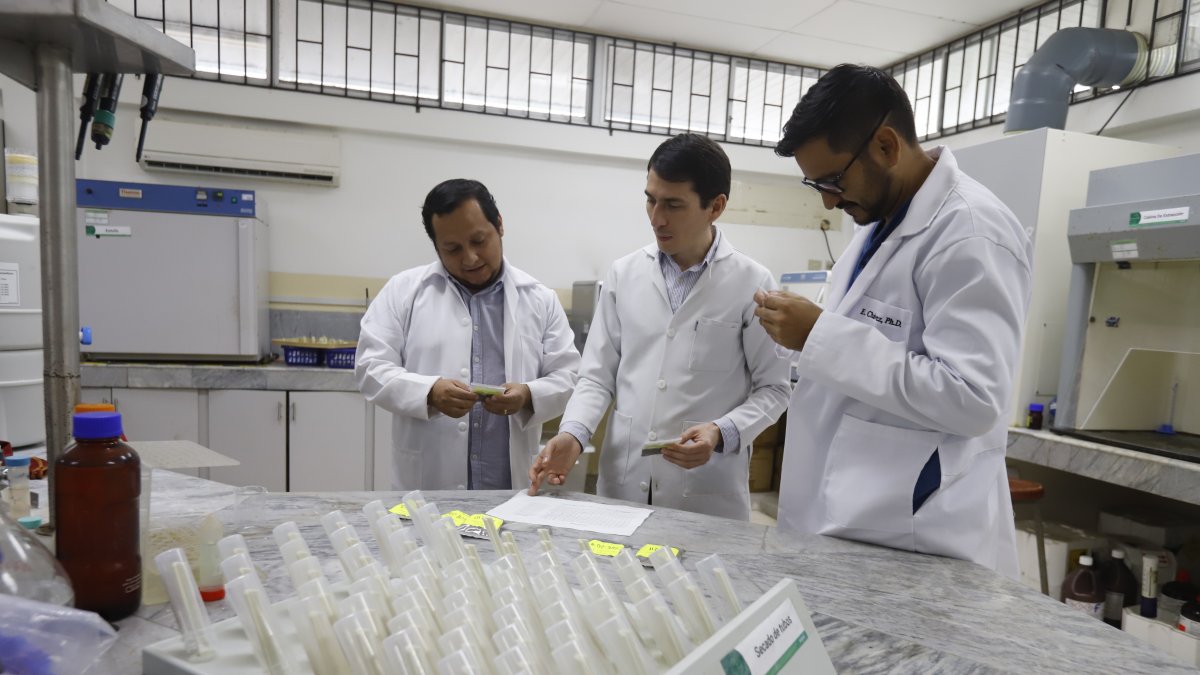 Expertos. Jonathan Coronel, Rómulo Salazar y Eduardo Chávez, en el Laboratorio de Suelo de la Espol.