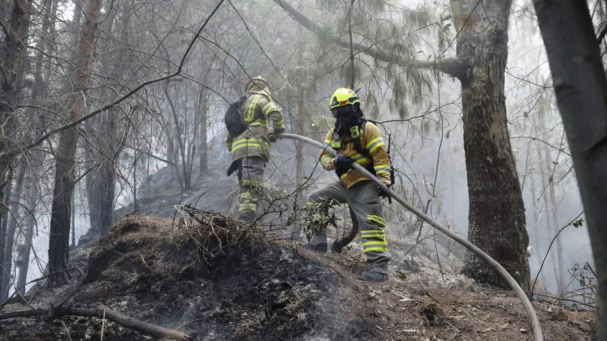 Bomberos trabajan en la extinción de un incendio este jueves 25 de enero de 2024, en el cerro El Cable, en Bogotá (Colombia).