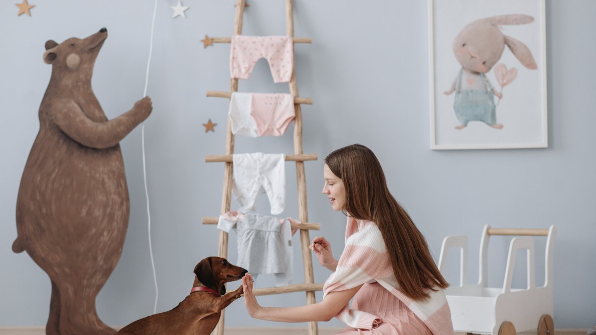 Expertos explican que los canes tienen el razonamiento de un niño de un año