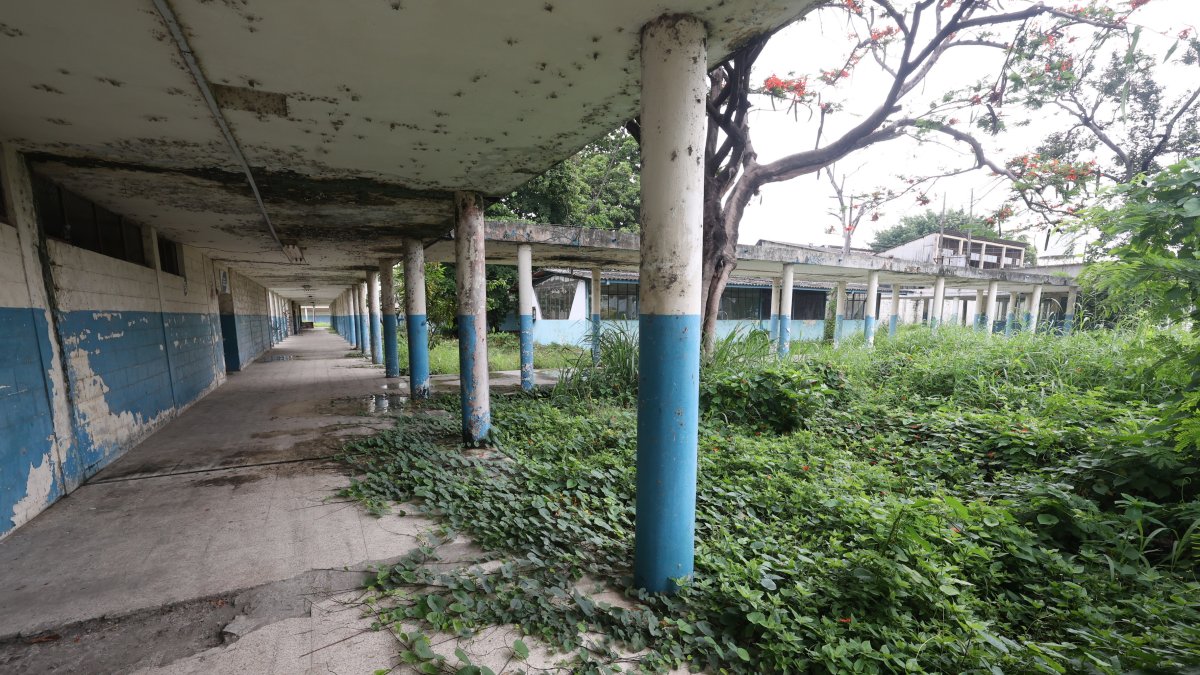 Infraestructura. La maleza ha crecido en diversas áreas del predio de Secap en Durán debido al abandono que sufre desde hace varios años.