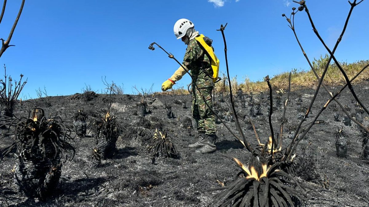 Bomberos combaten un incendio forestal este viernes 26 de enero de 2024, en Nemocón, municipio cercano a Bogotá (Colombia).