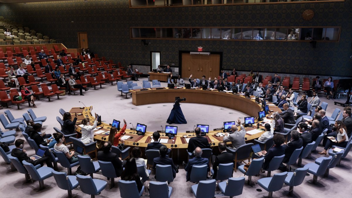 El Consejo de Seguridad de la ONU