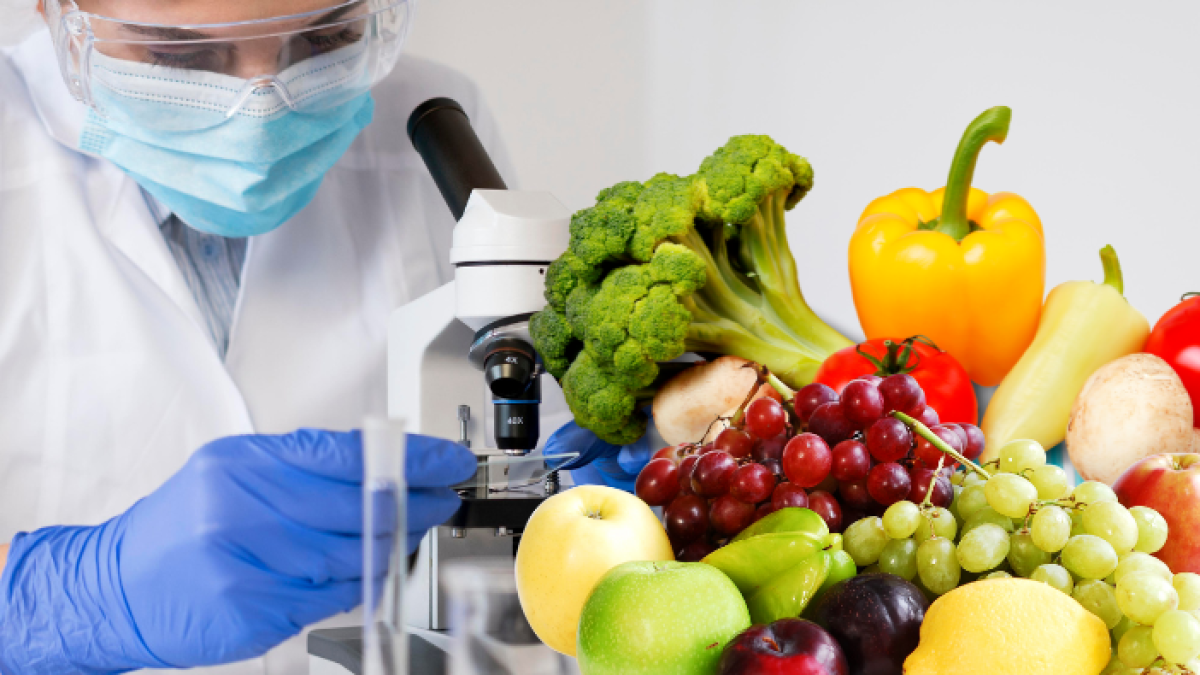 Las personas no están exentas de ingerirlo. Descubra por qué