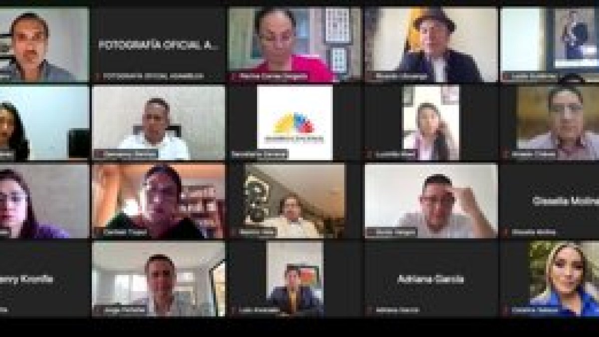 La Comisión de Desarrollo Económico de la Asamblea sesionó de forma virtual.