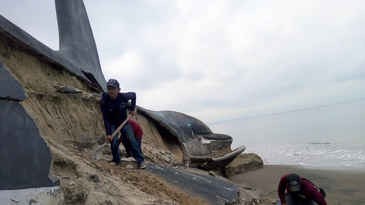 Trabajos. Todos intentan contribuir en los trabajos para levantar al Delfín.