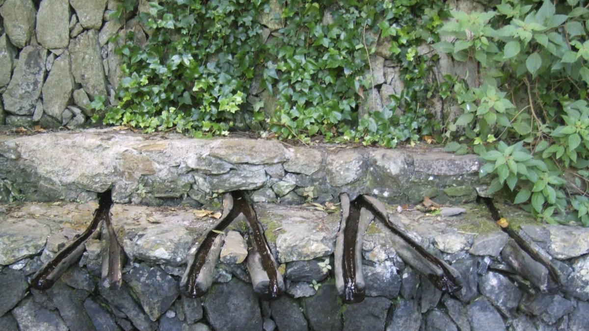Vista del manantial de Los Chorros de Epina, en la isla canaria de La Gomera.