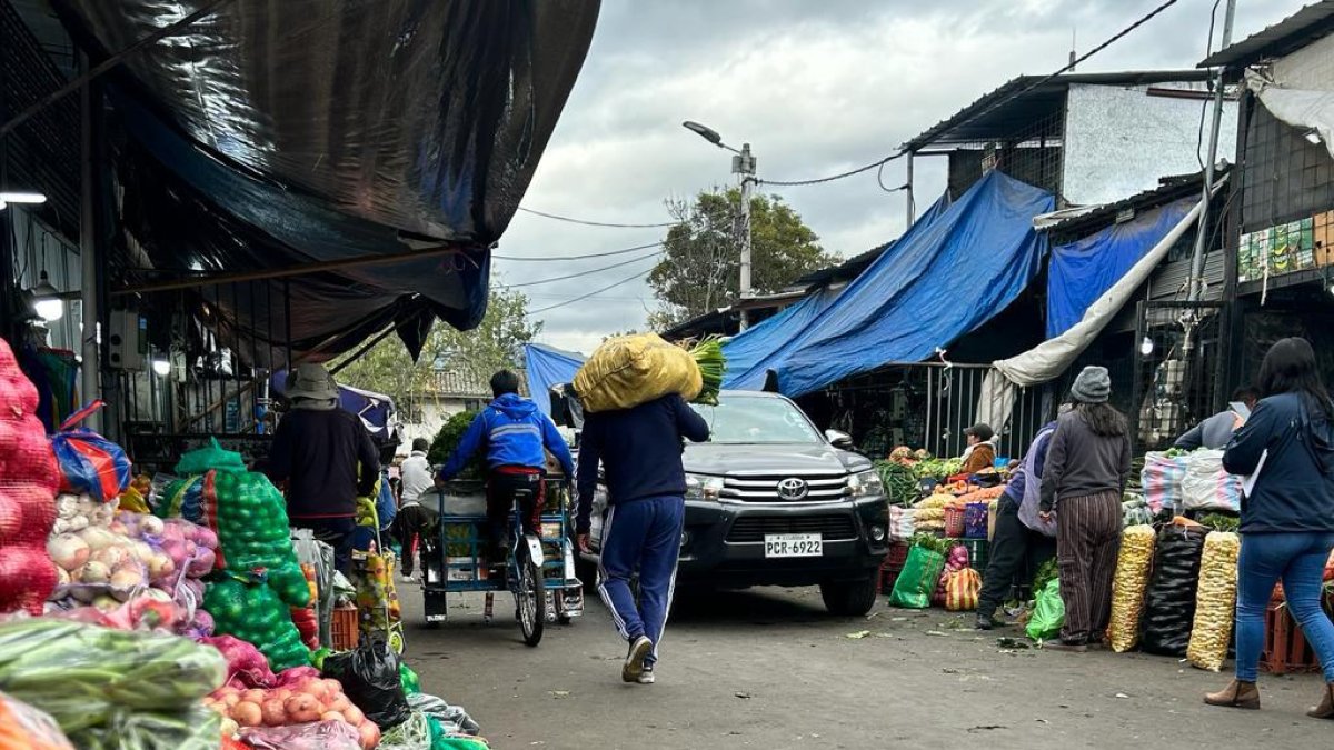 En el mercado Mayorista se aplican controles en el ingreso para evitar incidentes que afecten al centro de abastos.