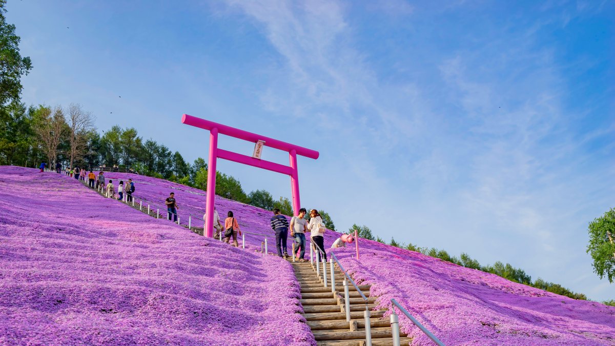 Diversión. Se exhibe la naturaleza en todo su grandeza y esplendor.