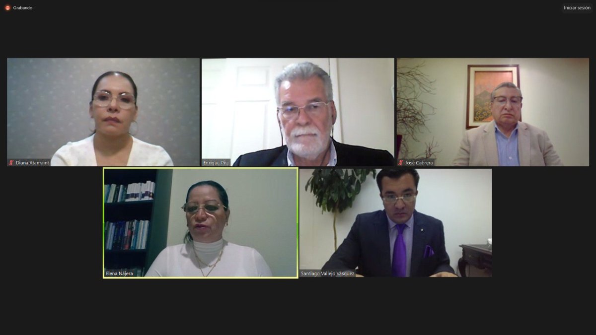 El pleno del Consejo Nacional Electoral sesionó de manera virtual.