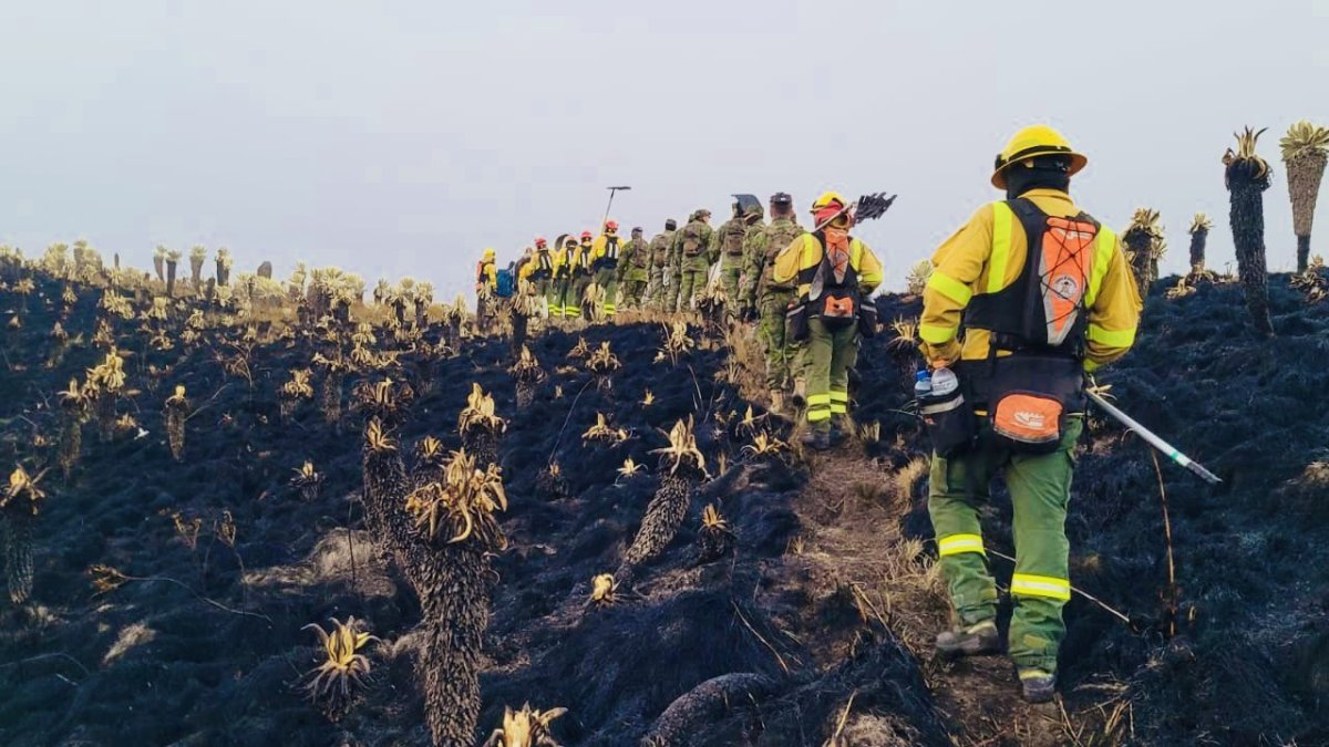 En coordinación interinstitucional más de 160 personas trabajan para controlar el incendio en la Reserva Ecológica El Ángel.