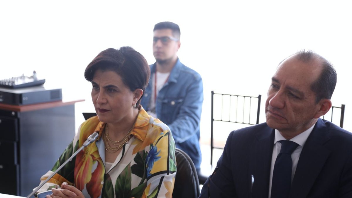 La canciller Sommerfeld destacó la cooperación internacional, durante su comparecencia en la Asamblea