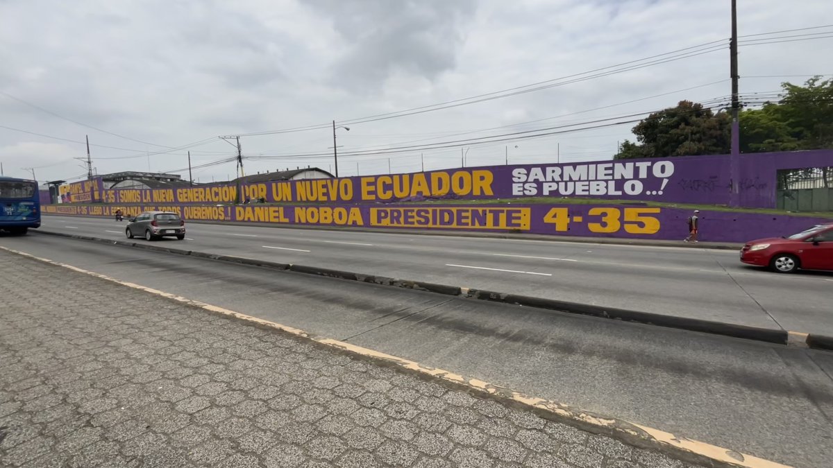 ADN. En la av. Camilo Ponce Enríquez, en la vía a Daule, se divisa una pared pintada por el activista político Segundo Sarmiento en alusión al presidente Daniel Noboa.