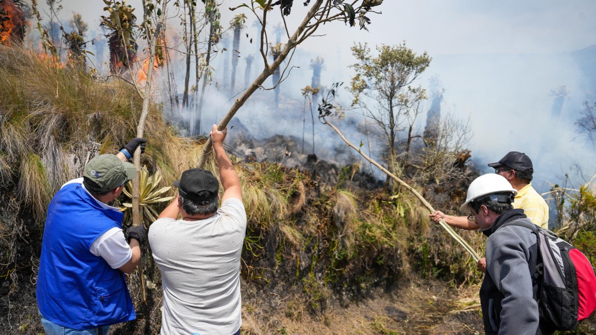 Personas intentan apagar un incendio, en la reserva ecológica ecuatoriana El Ángel, en la provincia de Carchi (Ecuador).