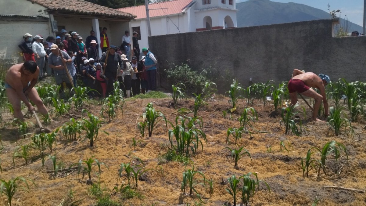 Los implicados realizaron el deshierbe de un terreno como parte del trabajo comunitario que deben cumplir.