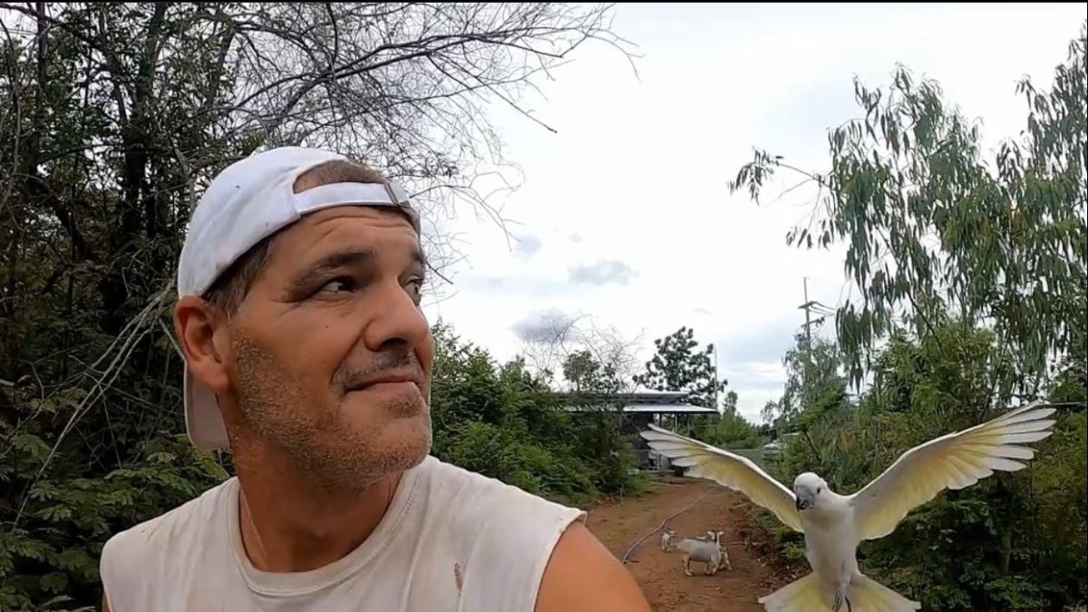 Frank Cuesta o Frank de la Jungla, es un naturalista, extenista, entrenador de tenis, presentador de televisión y youtuber