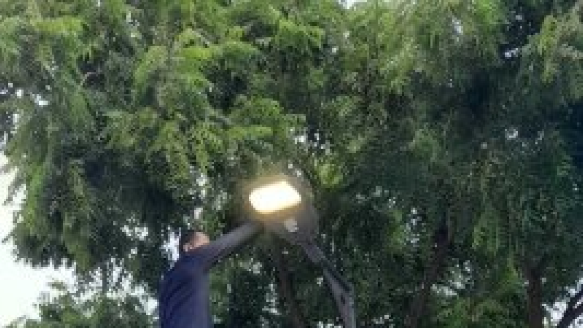 Respuesta. Personal del Municipio arregló las luminarias del parque.