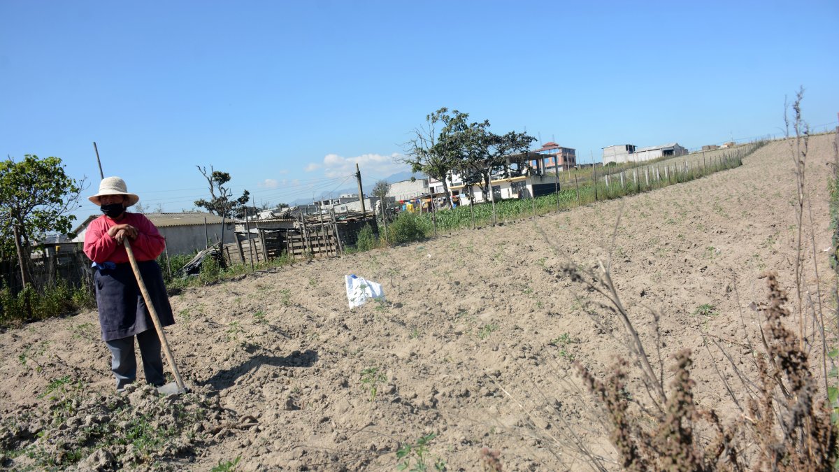 La falta de agua ha generado problemas en desabastecimiento en distintos lugares de Quito.