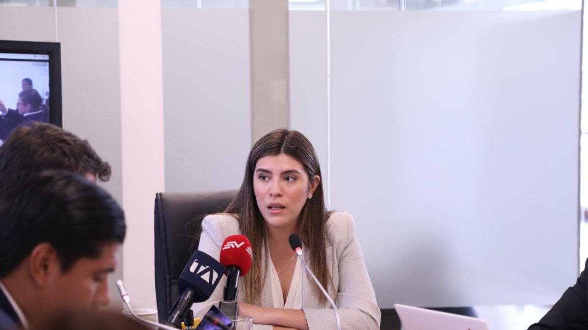 La presidenta de la Comisión de Desarrollo Económico, Valentina Centeno, este 31 de enero de 2024.