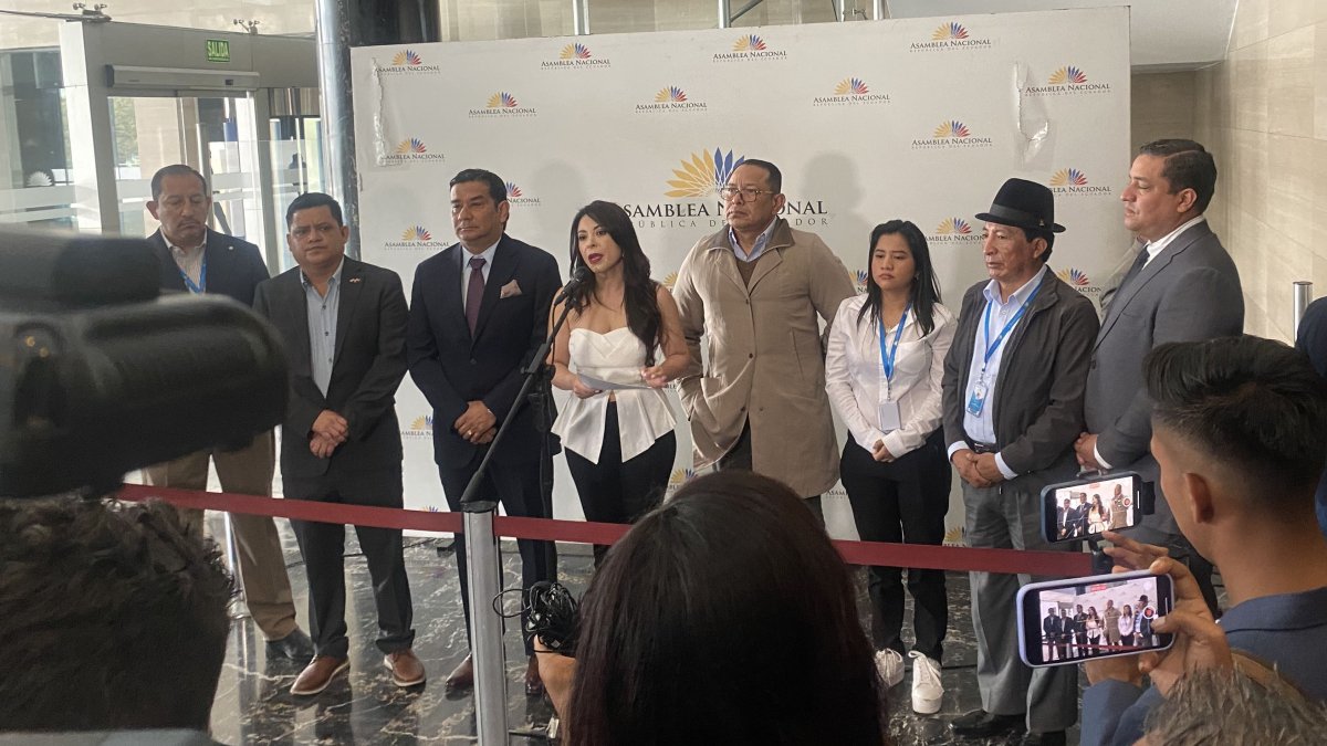 La presidenta de la Comisión de Fiscalización, Pamela Aguirre, dio detalles de la investigación.