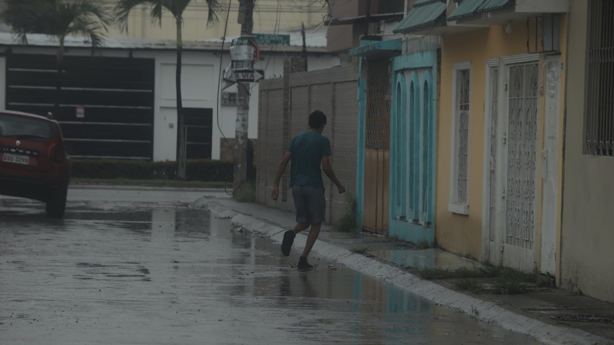 Las lluvias registradas este mes han jugado en contra del dengue. Hay criaderos de mosquitos y maleza que, a la vez, da cabida al insecto.