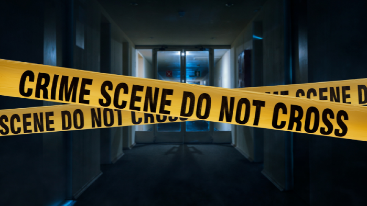 Un dato estremecedor es que por lo menos 31 víctimas eran niñas y/o adolescentes; 16 de ellas tenían menos de 7 años de edad.