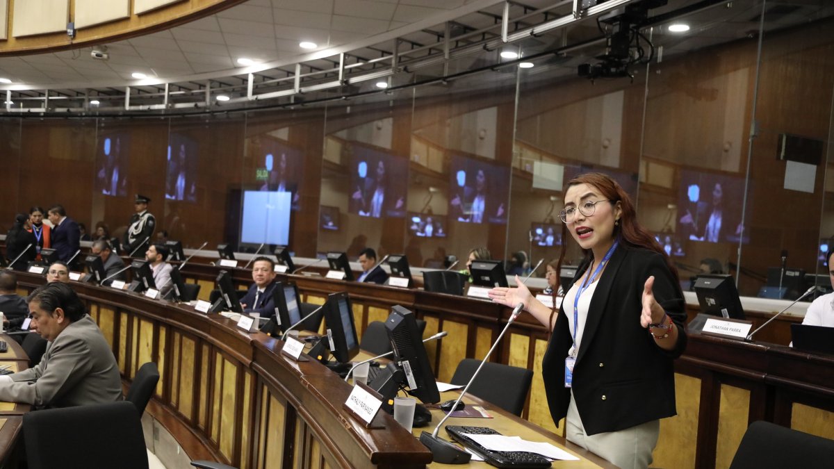 La legisladora oficialista y proponente del informe, Nathaly Farinango, increpó a los bloques que se oponen.