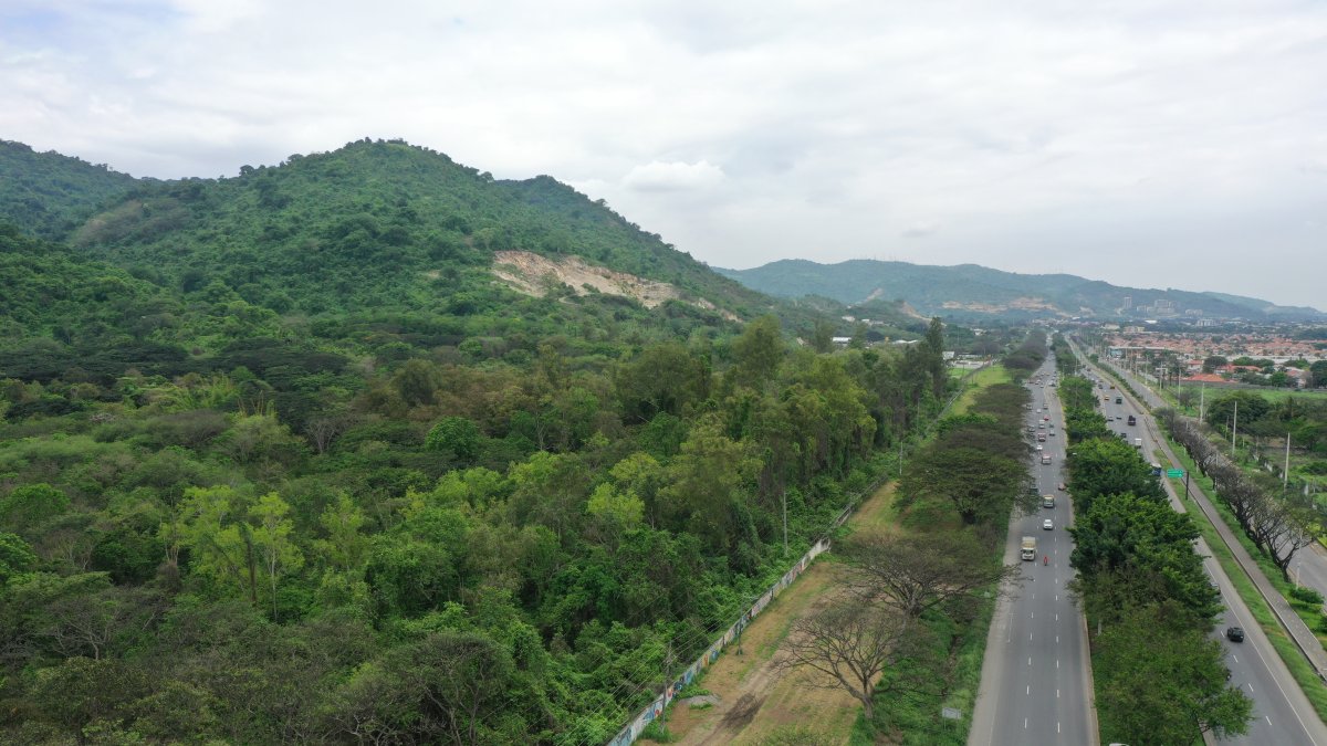 Protección. En Cerro Blanco habitan especies silvestres de todo tipo que ya, desde hace algunos años, se han visto afectadas por el desarrollo urbanístico desmedido y las canteras.
