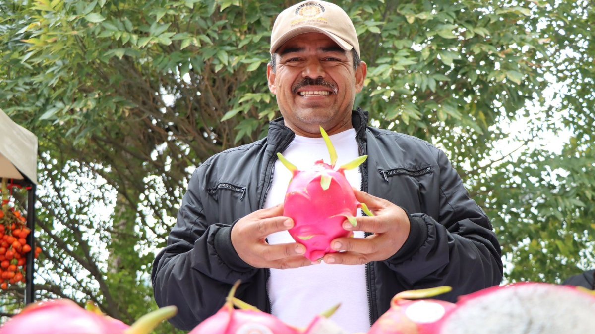 Fruta. La pitahaya es uno de los alimentos de exportación de Ecuador.