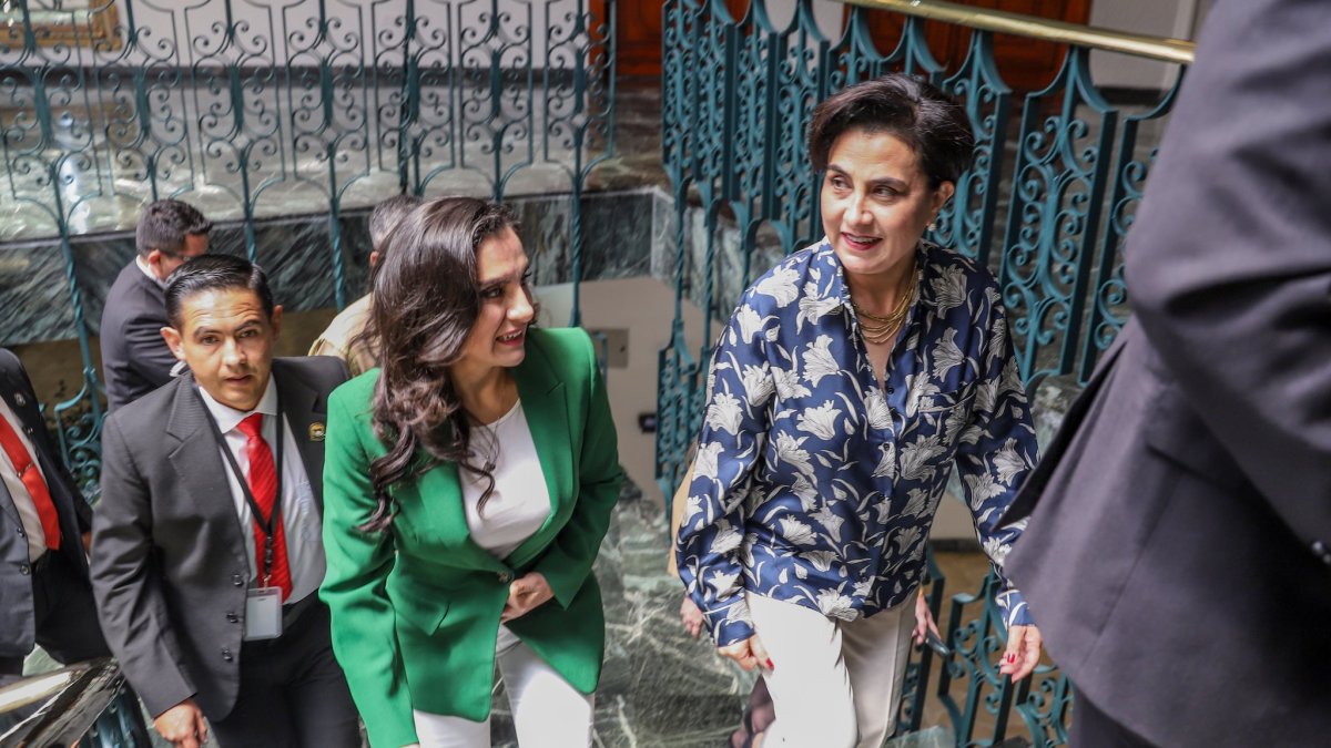 Abad. La vicepresidenta se enfrenta al Gobierno en el TCE, entre los denunciados está la canciller Sommerfeld.