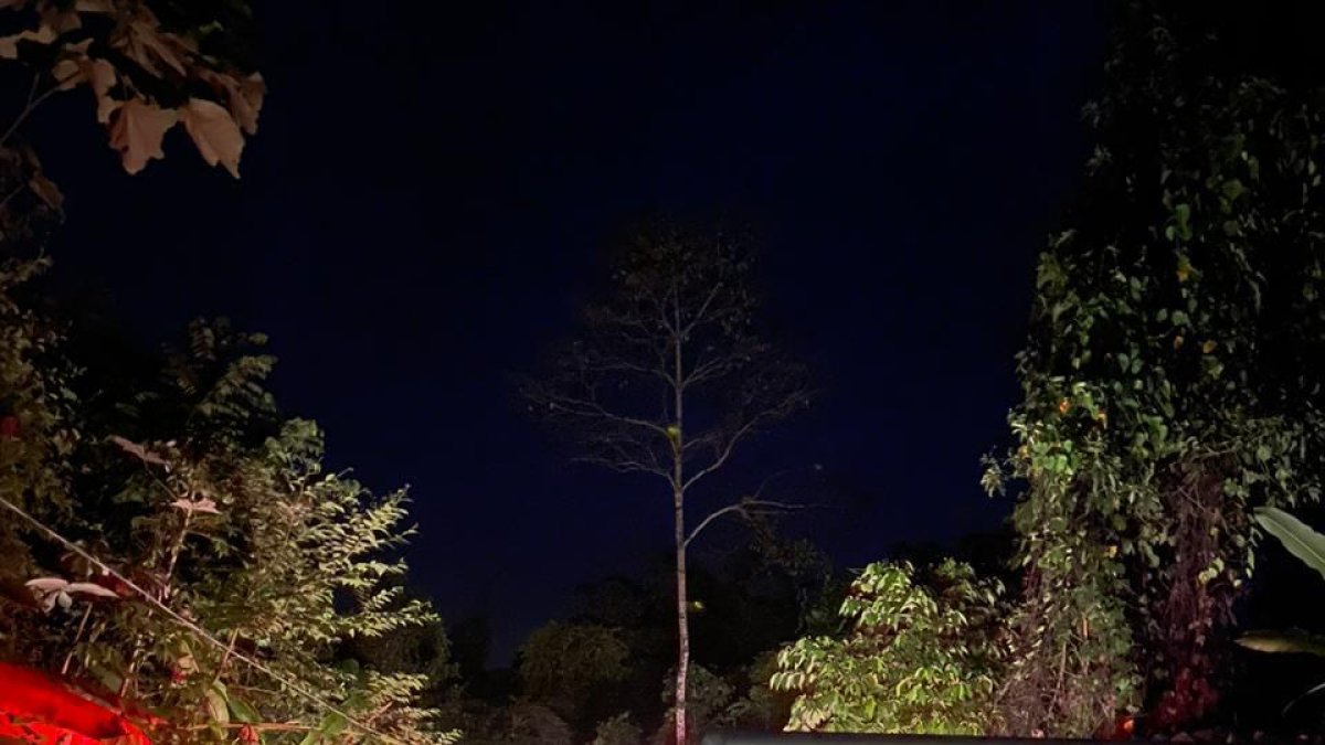 Cumplido los funerales de Williams Galarza, la conviviente quedó en angustia.