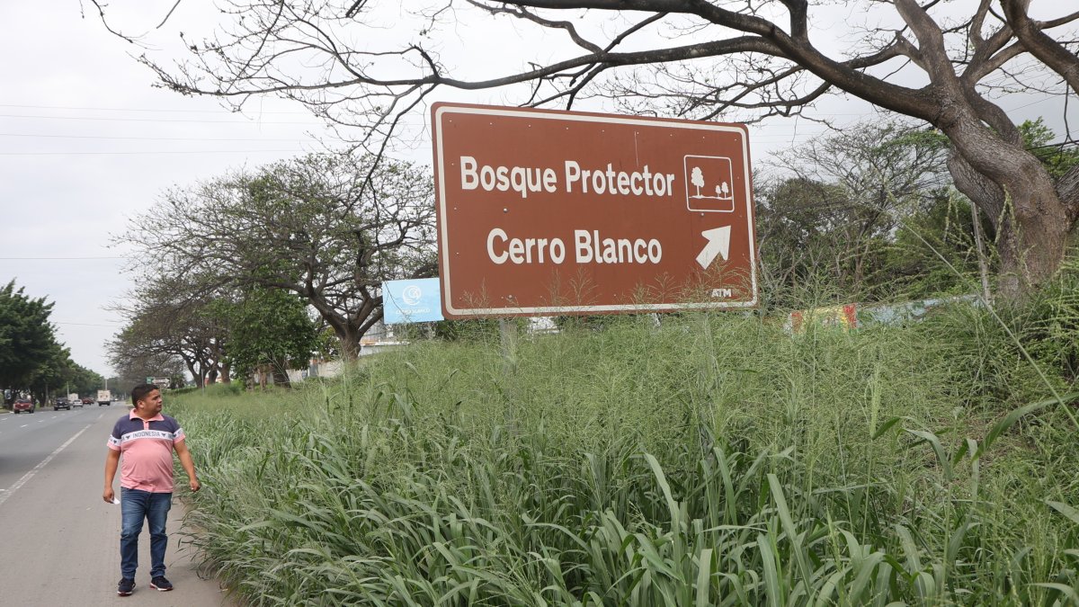 Dato. Seis mil hectáreas tiene el bosque protector Cerro Blanco, un espacio rico en flora y fauna.