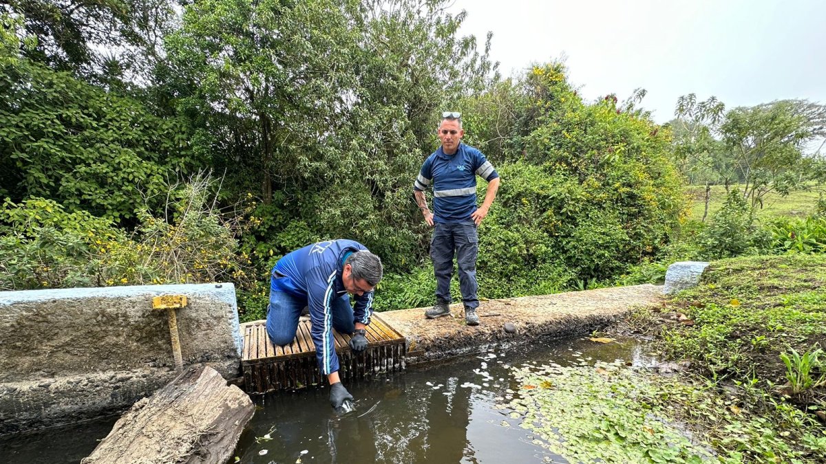 En las aguas contaminadas se han hecho una serie de pruebas desde la primera emergencia.