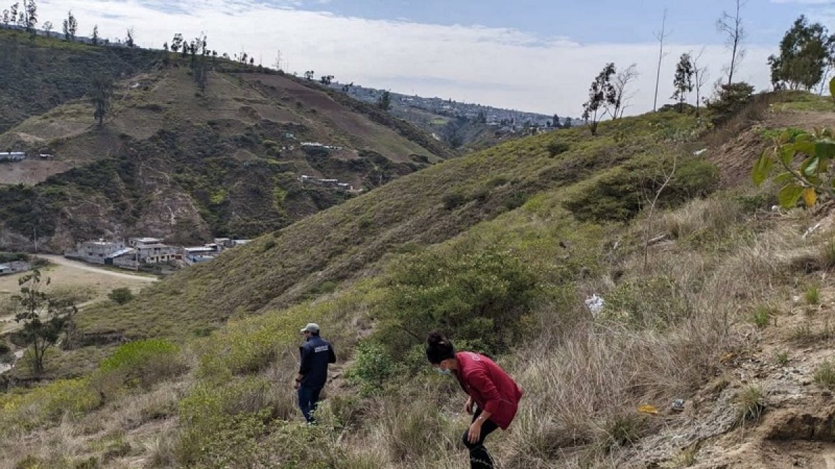 ‘En el programa Una Sola Salud de la Unidad de Bienestar Animal se trabaja en el control de plagas.